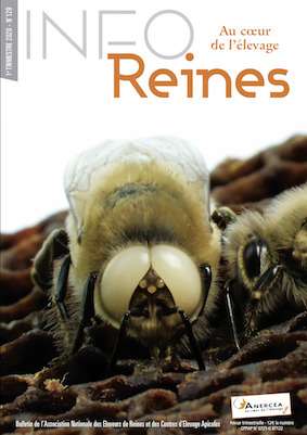 Revue apicole publiée par l'Anercea. N°119 : La sélection de l'abeille noire locale en Bretagne ; elevage de reines en environnement d'abeilles africanisé.