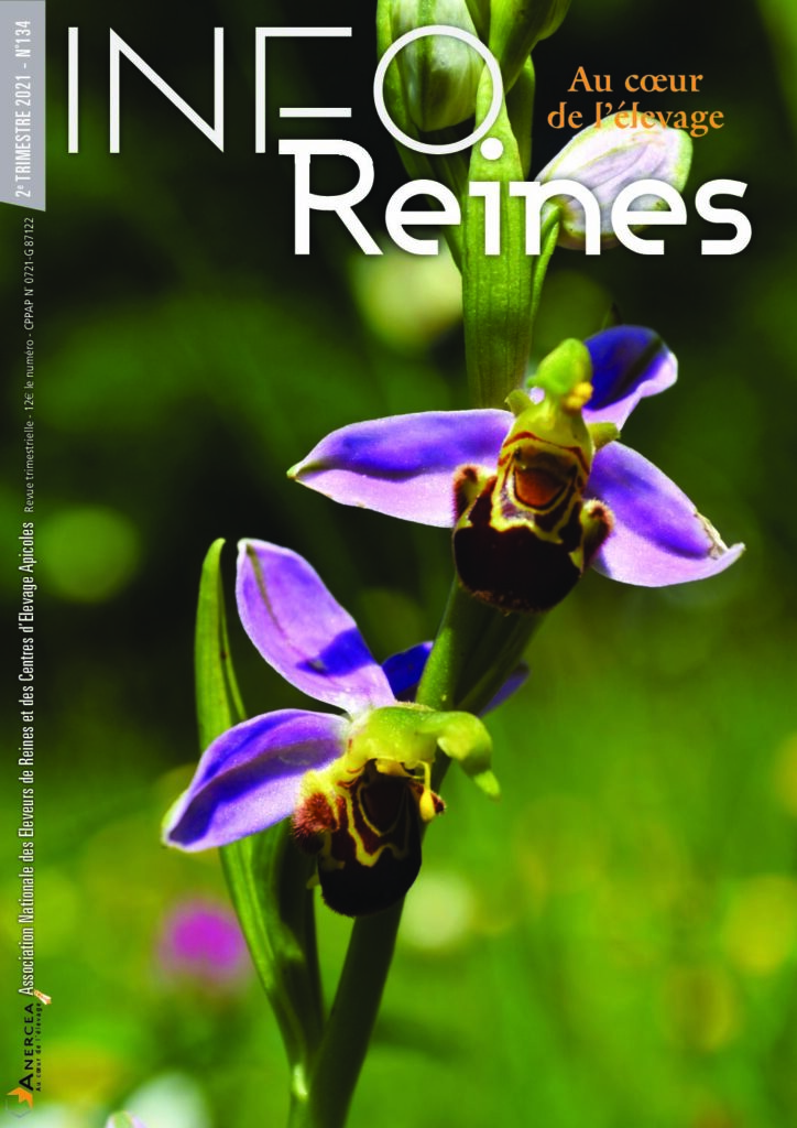 Revue apicole publiée par l'Anercea. N°134 : Fonctionnement d’une éleveuse verticale en ruchette ; la fécondation des reines ; ruchettes APIDEA pour l’insémination.