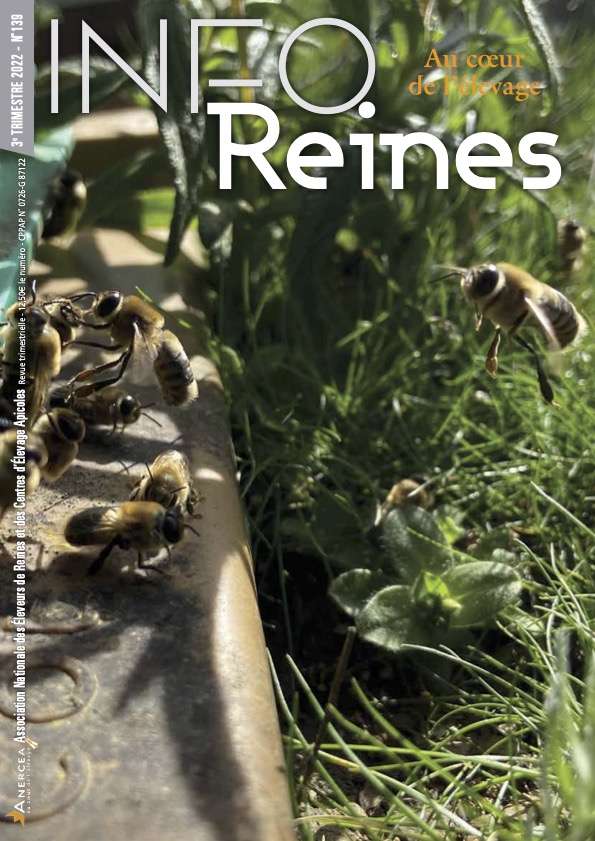 Le manuka ou la ruée vers l'or apicole - Info-Reines, revue apicole