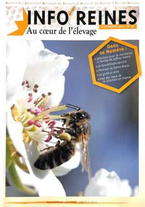 Revue apicole publiée par l'Anercea. N°97 : Techniques apicole ; les problèmes en élevage ; La grille à reines ; Sélection pour la résistance à Varroa.