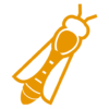 Image de Anercea