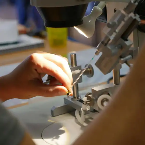 Les apiculteurs se perfectionnent aux techniques d’insémination instrumentale des reines d'abeilles.