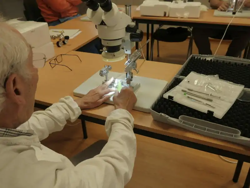 Les stagiaires apprendront la technique d'insémination instrumentale des reines d'abeilles et connaîtront les différents matériels existants.