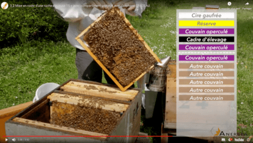 Tuto 3.1 sur les ruches éleveuse en apiculture