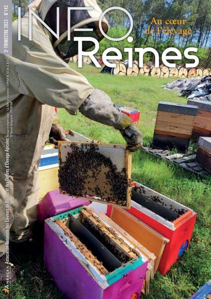 Les apiculteurs en Provence lancent l'alerte - UP' Magazine