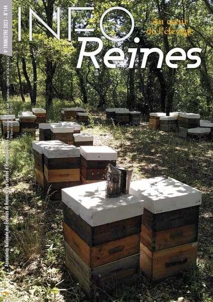 Une de la revue apicole Info-Reines numéro 144, quatrième trimestre 2023.