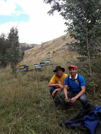 Luis et Yvan au rucher à San Juan, situé à 3200 m d'altitude. Le miel est ici marqué par le jaune du pissenlit. Photo Yvan Maytain.