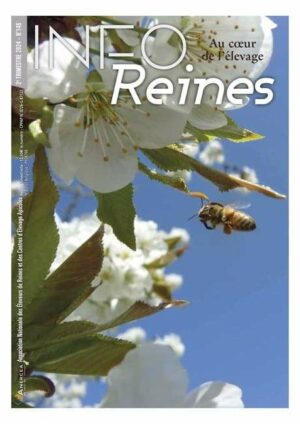 Une de la revue apicole Info-Reines 146 (2e trimestre 2024). Au sommaire : Colonies : lutter contre le syndrome d’immunodépression - Giacomo Acerbi ; « Ne survivent aux changements que ceux qui s’adaptent » - Sébastien Bonjour ; mais également, VSH ? Vous avez dit VSH ? et de nombreux autres sujets autour de l'élevage apicole.