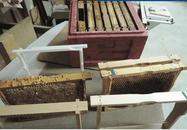 Info-Reines 112 (2015). Sur la photo, 1 cadron emboitable Nicot (blanc) ; 1 cadron du commerce filé à oeillets ; 2 cadrons tête bêche ; 1 corps Miniplus dans la version 6 cadrons + 1 cadron nour- risseur. Au 1er plan, 1 cadron « new wave » : 1 seul côté large, agrafes de maintien que l'on ressert sur la cire en place. Marquage d'un côté pour faciliter la réinsertion, évidement pour l'introduction du porte cupule en position été : 6 cadrons.