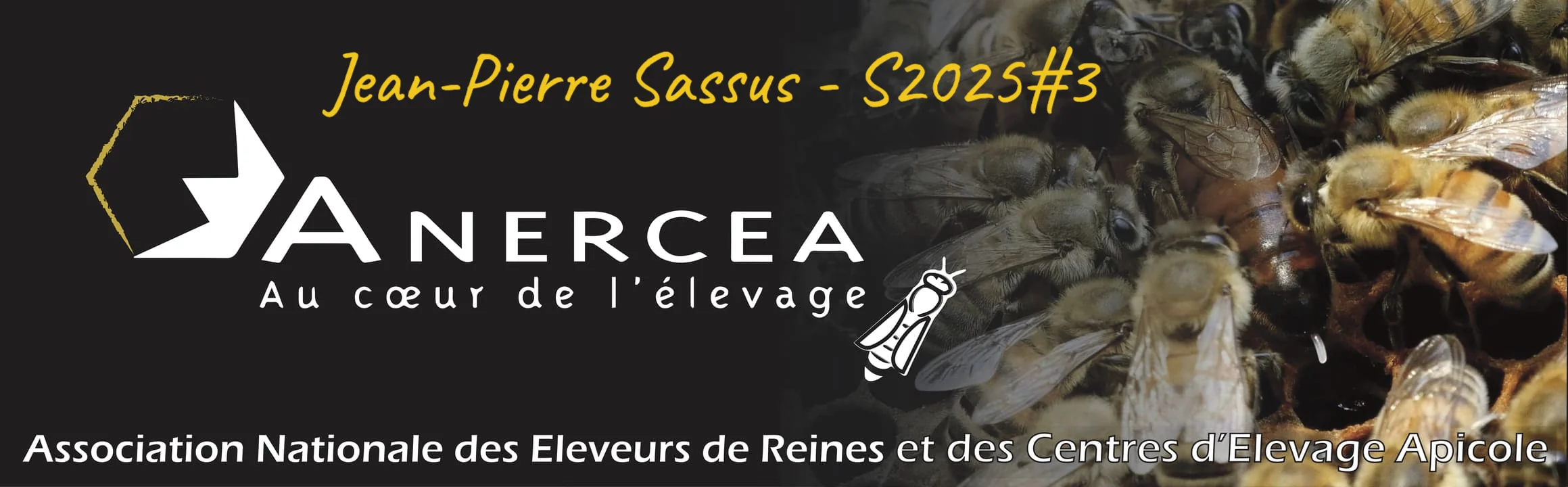 Élevage de reines. Témoignage de Jean-Pierre Sassus, apiculture de les Hautes-Pyrénées.