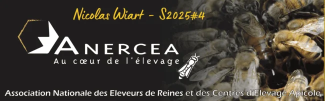 Échanges apicoles dans les coulisses des Journées d'Étude de l'Anercea. Congrès apicole.