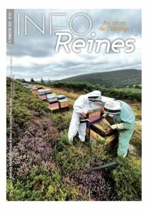 Une d'Info-Reines 152. Revue apicole de l'Anercea. Paysage du Pays de Galles.