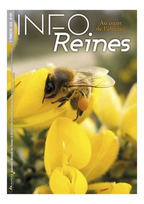 Une du numéro 154 de la revue apicole Info-Reines.