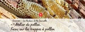 Atelier de pollen dans l'exploitation apicole Les ruchers de la Courcelle.