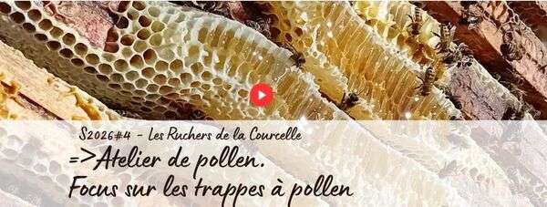 Atelier de pollen dans l'exploitation apicole Les ruchers de la Courcelle.
