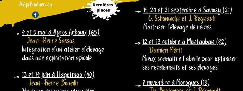 Formation : places disponibles le 28 février 2023