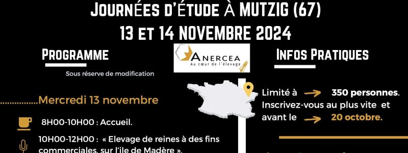 2024 06 25 PROGRAMME JE novembre 2024 2