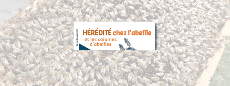 Bannière site Hérédité