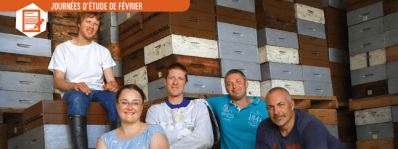 Anercea, parcours professionnel, ferme apicole. Nuclei