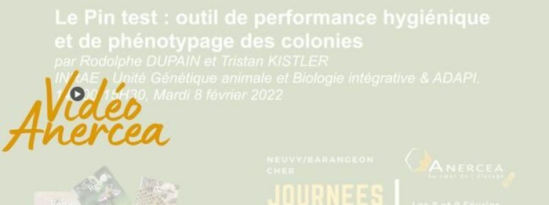 anercea-hygiene-abeille-caractere-evalue-grace-au-pin-test 2
