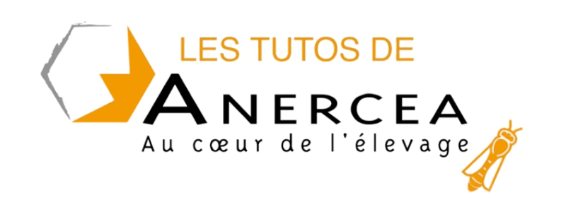 Les tutos de l'Anercea à retrouver sur www.anercea.com