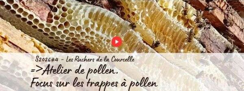 Atelier de pollen dans l'exploitation apicole Les ruchers de la Courcelle.