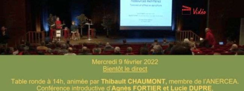 apiculture-miel-territoire-partage-congres-apicole